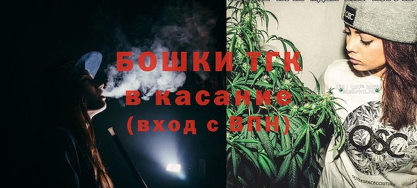 индика Вязники